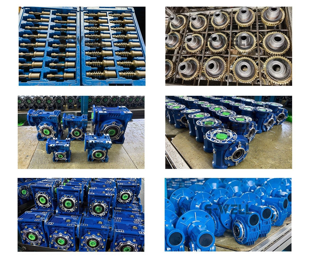 NMRV and VF gearbox series