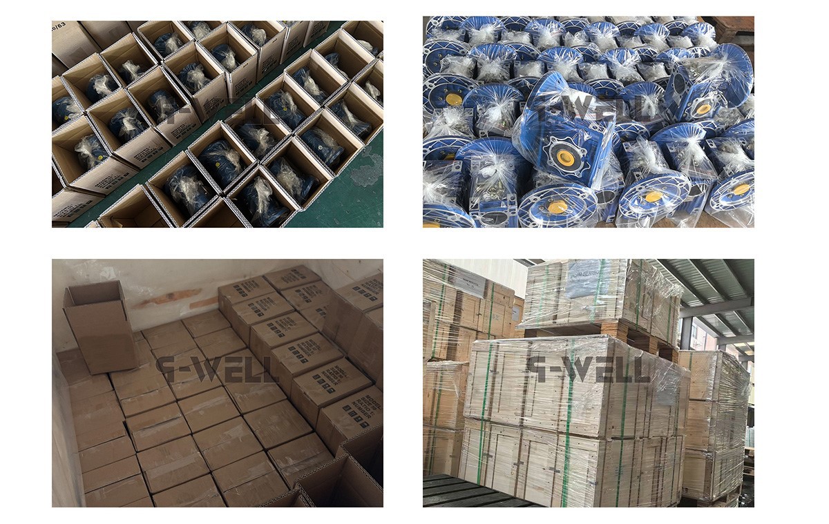 Motovario Worm Gearbox packing Motovario Worm Gearbox packing